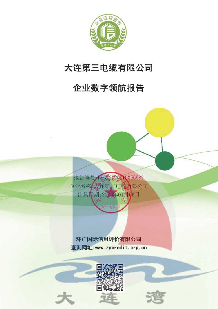 企業數字領航報告